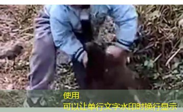 果子狸夫妻情趣梗|甄嬛传:禁苑情劫 果子狸夫妻情趣梗|甄嬛传:禁苑情劫