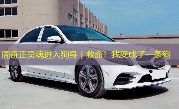 周奇正灵魂进入狗身｜救命！我变成了一条狗