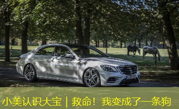 小美认识大宝｜救命！我变成了一条狗