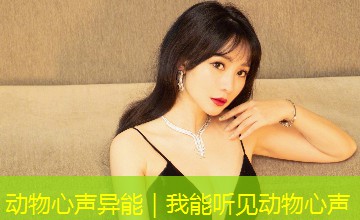 动物心声异能|我能听见动物心声 动物心声异能|我能听见动物心声