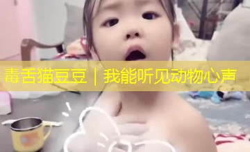 毒舌猫豆豆|我能听见动物心声 毒舌猫豆豆|我能听见动物心声