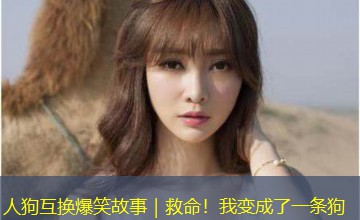 人狗互换爆笑故事|救命!我变成了一条狗 人狗互换爆笑故事|救命!我变成了一条狗
