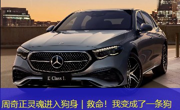 周奇正灵魂进入狗身｜救命！我变成了一条狗