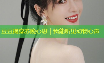 豆豆揭穿苏晚心思|我能听见动物心声 豆豆揭穿苏晚心思|我能听见动物心声